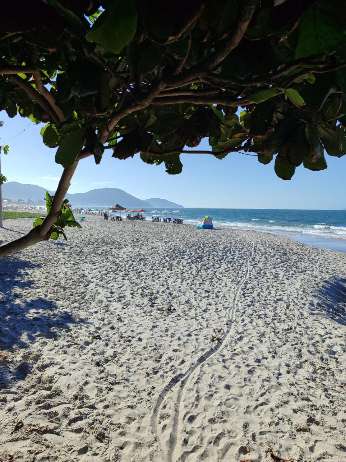 De 2 Dormitórios Florianópolis